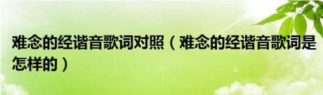 难念的经谐音歌词对照（难念的经谐音歌词是怎样的）