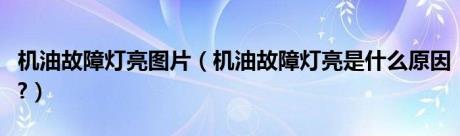 机油故障灯亮图片（机油故障灯亮是什么原因?）