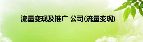 流量变现及推广 公司(流量变现)