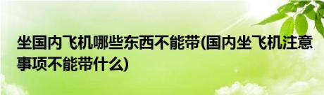 坐国内飞机哪些东西不能带(国内坐飞机注意事项不能带什么)