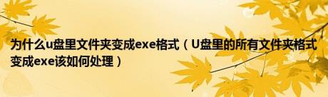 为什么u盘里文件夹变成exe格式（U盘里的所有文件夹格式变成exe该如何处理）