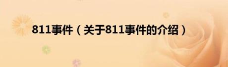 811事件（关于811事件的介绍）