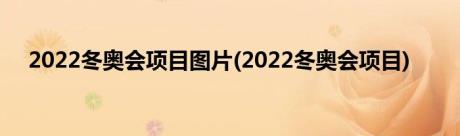 2022冬奥会项目图片(2022冬奥会项目)