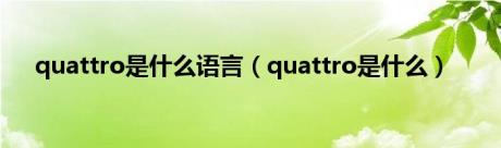 quattro是什么语言（quattro是什么）