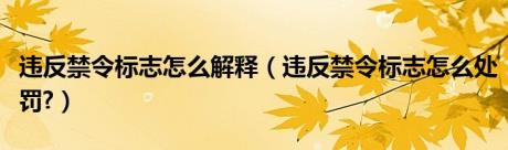 违反禁令标志怎么解释（违反禁令标志怎么处罚?）