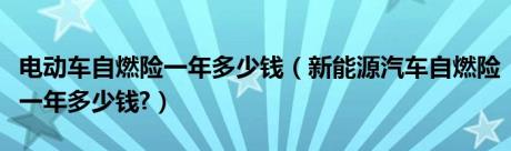 电动车自燃险一年多少钱（新能源汽车自燃险一年多少钱?）