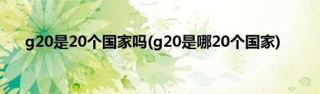 g20是20个国家吗(g20是哪20个国家)