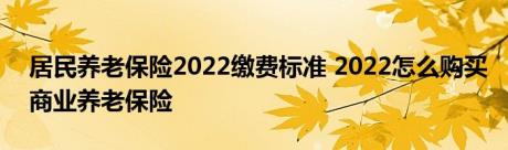 居民养老保险2022缴费标准 2022怎么购买商业养老保险 