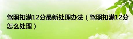 驾照扣满12分最新处理办法（驾照扣满12分怎么处理）