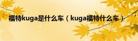 福特kuga是什么车（kuga福特什么车）