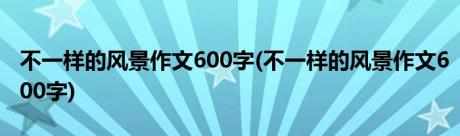 不一样的风景作文600字(不一样的风景作文600字)