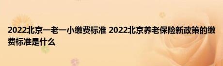 2022北京一老一小缴费标准 2022北京养老保险新政策的缴费标准是什么 