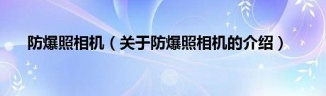 防爆照相机（关于防爆照相机的介绍）