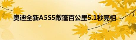 奥迪全新A5S5敞篷百公里5.1秒亮相