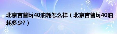 北京吉普bj40油耗怎么样（北京吉普bj40油耗多少?）