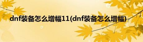 dnf装备怎么增幅11(dnf装备怎么增幅)