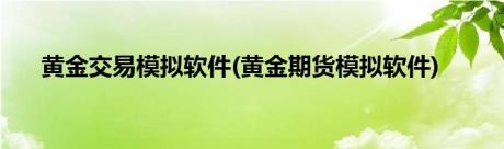 黄金交易模拟软件(黄金期货模拟软件)