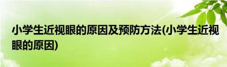 小学生近视眼的原因及预防方法(小学生近视眼的原因)