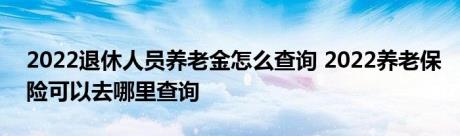 2022退休人员养老金怎么查询 2022养老保险可以去哪里查询 