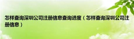 怎样查询深圳公司注册信息查询进度（怎样查询深圳公司注册信息）