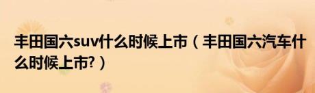 丰田国六suv什么时候上市（丰田国六汽车什么时候上市?）