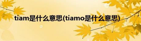 tiam是什么意思(tiamo是什么意思)