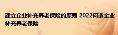 建立企业补充养老保险的原则 2022何谓企业补充养老保险 