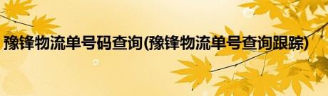 豫锋物流单号码查询(豫锋物流单号查询跟踪)