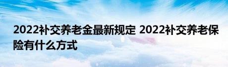 2022补交养老金最新规定 2022补交养老保险有什么方式 