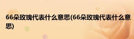 66朵玫瑰代表什么意思(66朵玫瑰代表什么意思)