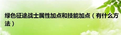 绿色征途战士属性加点和技能加点（有什么方法）