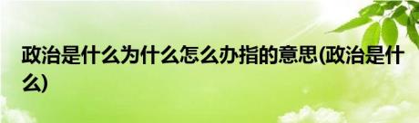 政治是什么为什么怎么办指的意思(政治是什么)