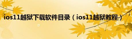 ios11越狱下载软件目录（ios11越狱教程）