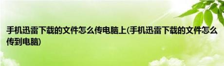 手机迅雷下载的文件怎么传电脑上(手机迅雷下载的文件怎么传到电脑)