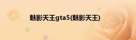 魅影天王gta5(魅影天王)