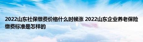 2022山东社保缴费价格什么时候涨 2022山东企业养老保险缴费标准是怎样的 