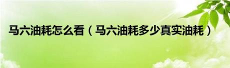 马六油耗怎么看（马六油耗多少真实油耗）