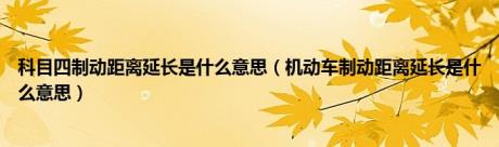 科目四制动距离延长是什么意思（机动车制动距离延长是什么意思）