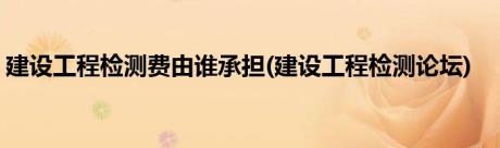 建设工程检测费由谁承担(建设工程检测论坛)