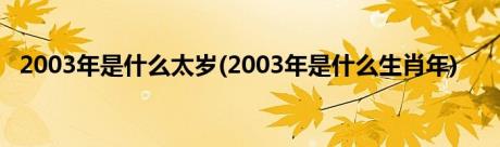 2003年是什么太岁(2003年是什么生肖年)