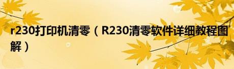 r230打印机清零（R230清零软件详细教程图解）