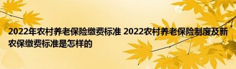 2022年农村养老保险缴费标准 2022农村养老保险制度及新农保缴费标准是怎样的 