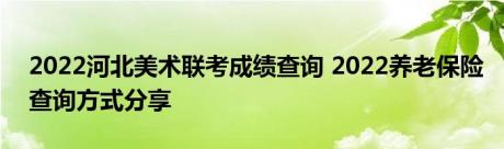 2022河北美术联考成绩查询 2022养老保险查询方式分享 