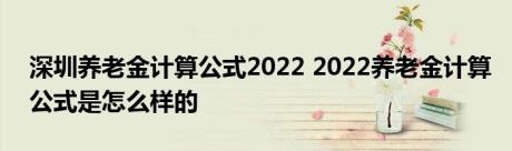 深圳养老金计算公式2022 2022养老金计算公式是怎么样的 