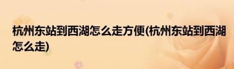 杭州东站到西湖怎么走方便(杭州东站到西湖怎么走)