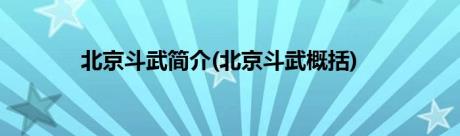 北京斗武简介(北京斗武概括)