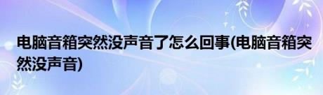 电脑音箱突然没声音了怎么回事(电脑音箱突然没声音)