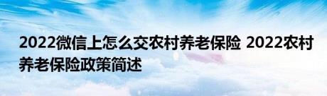 2022微信上怎么交农村养老保险 2022农村养老保险政策简述 