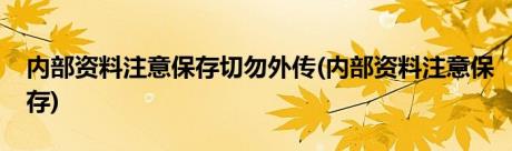 内部资料注意保存切勿外传(内部资料注意保存)