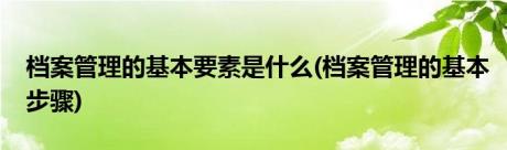 档案管理的基本要素是什么(档案管理的基本步骤)